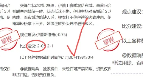 巴西地方当局调查美遣返移民疑涉人权违规行为